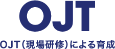 OJT（現場研修）による育成